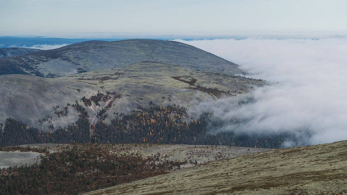 Miesten kuoritakit